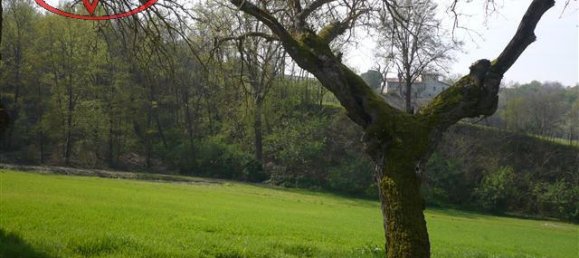 15 rooms Villa in San Giovanni Valdarno, Italy No. 233843 2