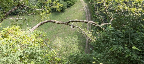 Здание с 12 комнатами в Поджо Катино, Италия № 62841 11