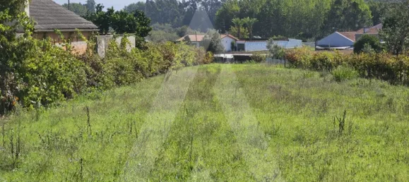 Terreno en Aveiro, Portugal No. 89595 5