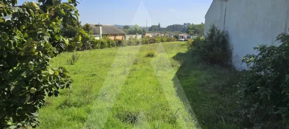Terreno en Aveiro, Portugal No. 89595 6