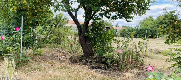 3 Schlafzimmer Haus in Maine-et-Loire, France, Nr. 291489 4