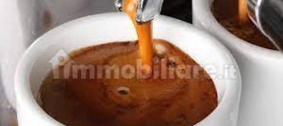 Propiedad comercial de 2 habitaciónes en Piacenza, Italy No. 223882 8