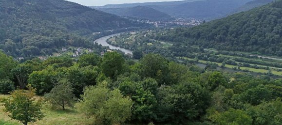 5 bedrooms Townhouse in Rhein-Neckar-Kreis, Germany No. 323516 6