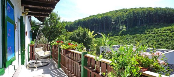 6 rooms House in Penzing, Austria No. 115753 43