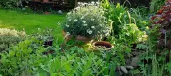 4 chambres Bâtiment à Darmstadt-Dieburg, Germany No. 173021 3