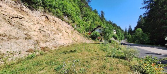 220m² Land in Furth an der Triesting, Austria No. 134105 7