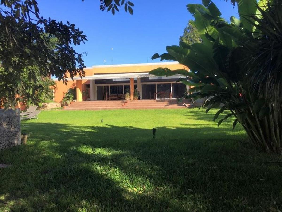 4 chambres Maison à Merida, Mexico No. 52715