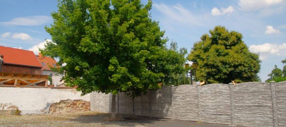 3 rooms Bungalow in Burgenlandkreis, Germany No. 278281 7