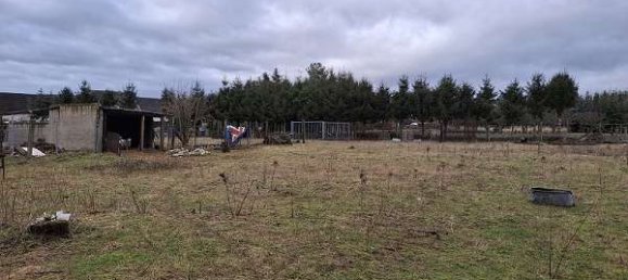 Quinta T4 em Jerichower Land, Germany N.º 309457 9