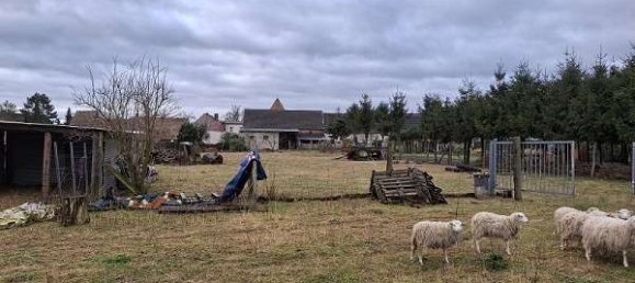 Quinta T4 em Jerichower Land, Germany N.º 309457 10