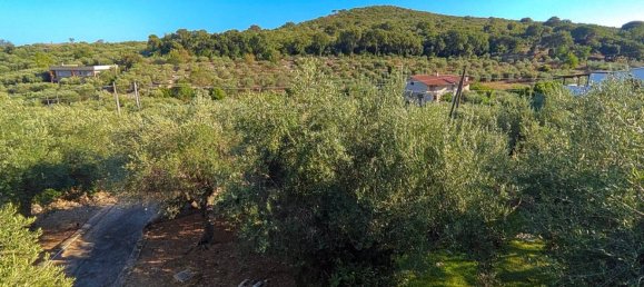 7 bedrooms Villa in Terracina, Italy No. 309244 16