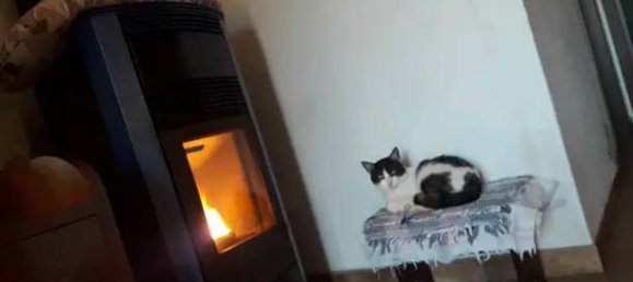 2-Zimmer Wohnung in Altavilla Silentina, Italy, Nr. 143733 3