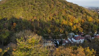 Terrain à Liesing, Austria 28m² No. 165003