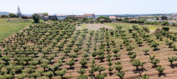 Grundstück in Cadaval, Portugal, Nr. 229358 4