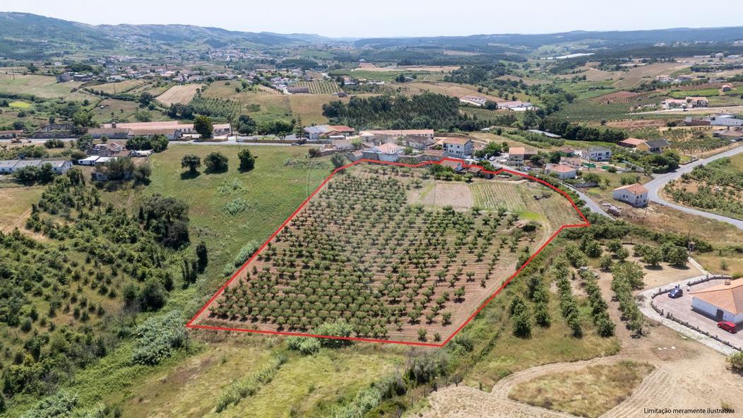 Terrain à Cadaval, Portugal No. 229358