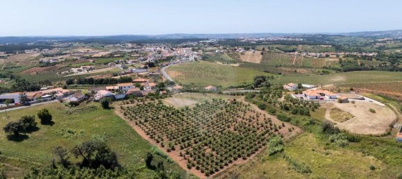 Grundstück in Cadaval, Portugal, Nr. 229358 3