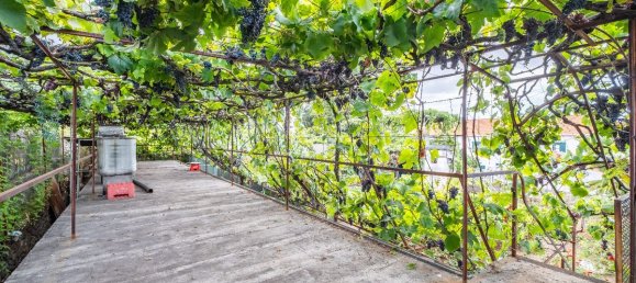 9 bedrooms Building in Funchal, Portugal No. 69242 15