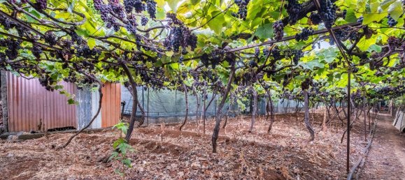 9 bedrooms Building in Funchal, Portugal No. 69242 9