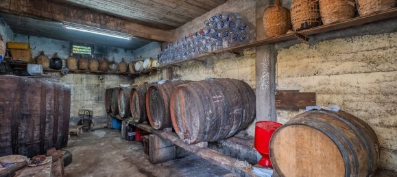 9 bedrooms Building in Funchal, Portugal No. 69242 7