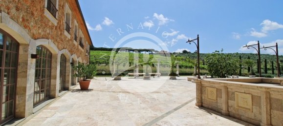 20 Schlafzimmer Villa in Massa Marittima, Italy, Nr. 233389 13