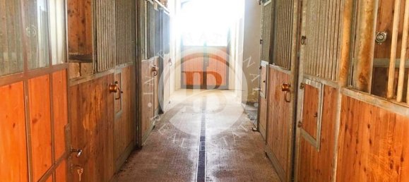 20 Schlafzimmer Villa in Massa Marittima, Italy, Nr. 233389 30