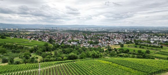 3 غرف نوم شقة في Lorrach, Germany رقم 228936 16