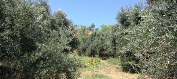 3500m² Hotel in Platanias, Greece No. 7085 5