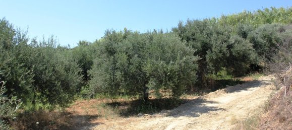 3500m² Hotel in Platanias, Greece No. 7085 3