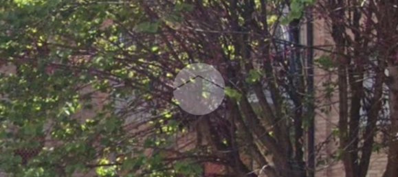 18m² Garage in Ferrara, Italy No. 258674 9