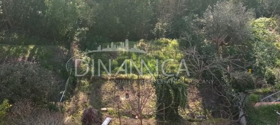 3-Zimmer Wohnung in Palaia, Italy, Nr. 233813 7