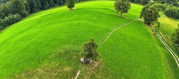  Land in Oberschlierbach, Austria No. 196643 7