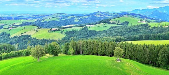  Land in Oberschlierbach, Austria No. 196643 6