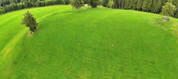  Land in Oberschlierbach, Austria No. 196643 5