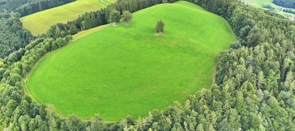  Land in Oberschlierbach, Austria No. 196643 3