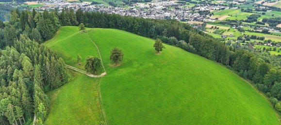  Land in Oberschlierbach, Austria No. 196643 11