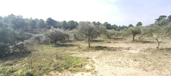 3 chambres Maison à Chella, Spain No. 116055 35