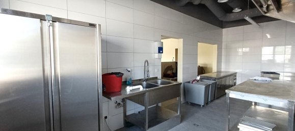  عقار تجاري في Siegendorf, Austria 659متر مربع رقم 203265 4