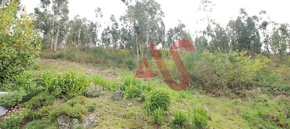  قطعة أرض في Santa Eulalia, Portugal 46000متر مربع رقم 40466 7