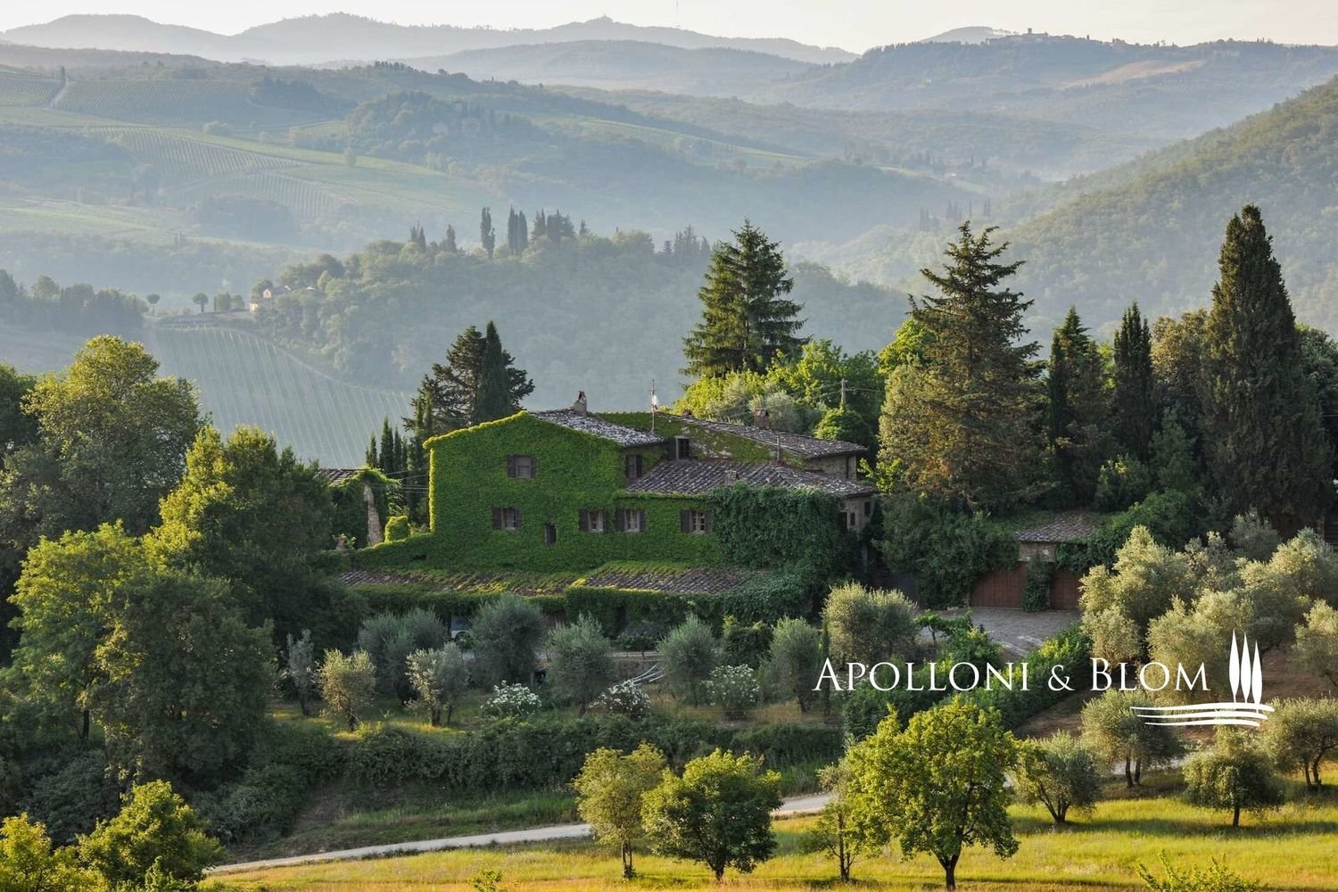 21 room House in Castellina in Chianti, Italy No. 57568