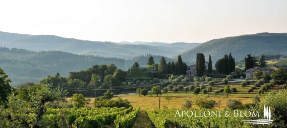 21 room House in Castellina in Chianti, Italy No. 57568 9