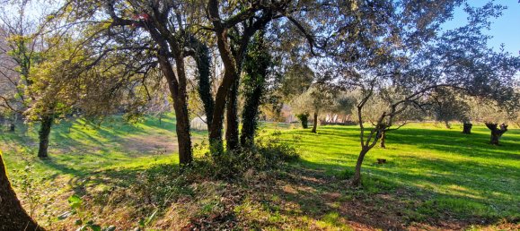 5 bedrooms Castles in Uzes, France No. 279056 12