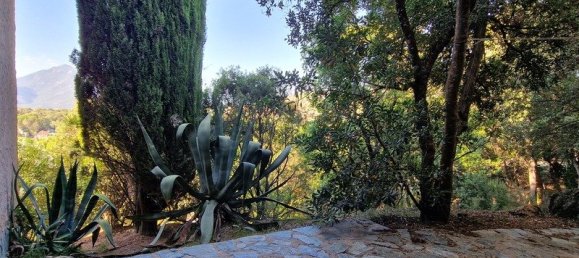 Дом с 3 спальнями в Проприано, Франция № 265015 24