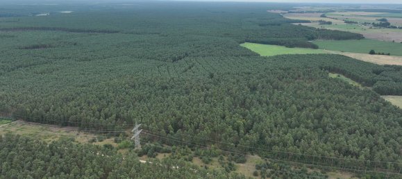 Grundstück in Oder-Spree, Germany 101618m², Nr. 321886 2