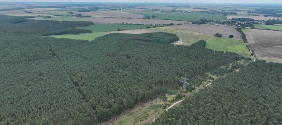 Grundstück in Oder-Spree, Germany 101618m², Nr. 321886 3