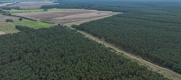 Grundstück in Oder-Spree, Germany 101618m², Nr. 321886 5