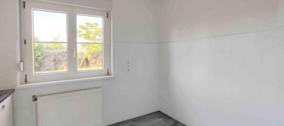 Дом с 3 комнатами в Гензерндорф, Австрия № 116046 16