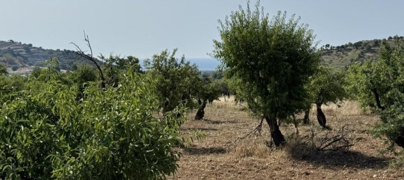 1-Zimmer Grundstück in Avola, Italy, Nr. 81539 2