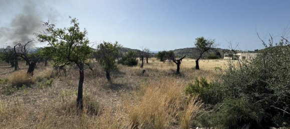 1-Zimmer Grundstück in Avola, Italy, Nr. 81539 3