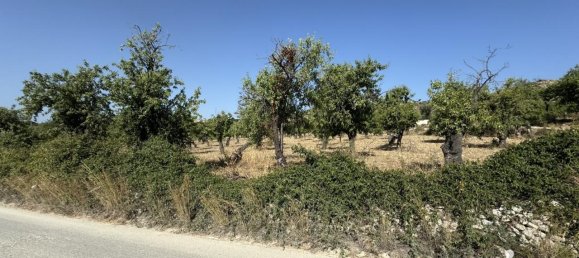 1-Zimmer Grundstück in Avola, Italy, Nr. 81539 7