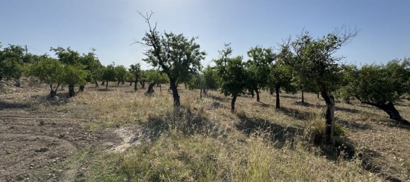 1-Zimmer Grundstück in Avola, Italy, Nr. 81539 8